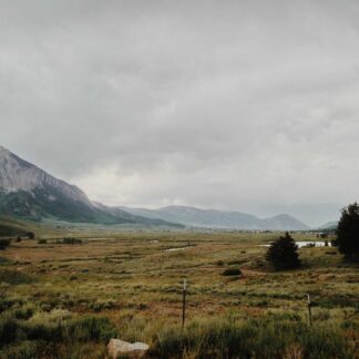 Modern Navy Glass Jackets