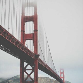 Deluxe Teal Ceramic T-Shirts